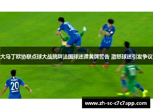 大马丁欧协联点球大战挑衅法国球迷遭黄牌警告 激怒球迷引发争议